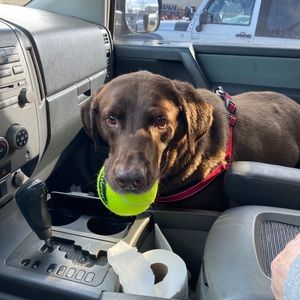 Meet your Posher, Lee